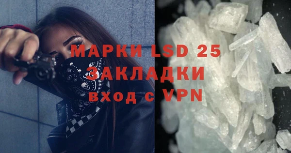 шишки Алзамай