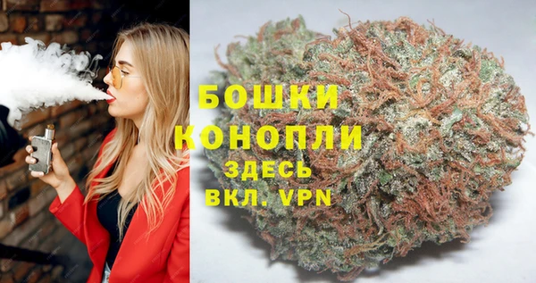 шишки Алзамай