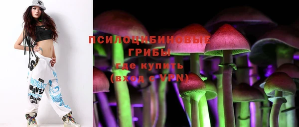 шишки Алзамай